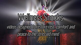 Wellness Snack - Happy Circus Fun!