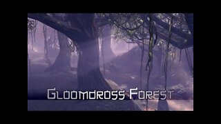 Blade & Soul - Gloomdross Forest (1 Hour of Music)