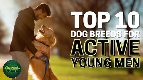 Top 10 dog breeds for young Men