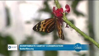 Habitat Conservation // Butterfly Pavilion