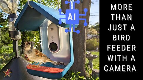 Bird Buddy Revolutionizing Bird Watching: Smart AI Bird Feeder