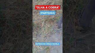 OLHA A COBRA (PARTE #04)