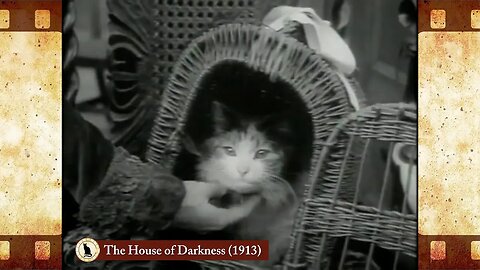 The House of Darkness (1913) 🐱 Cat Movies 🎥🐈
