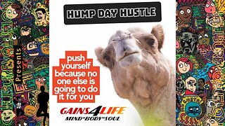 Hump Day Hustle