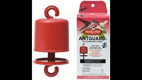 Perky-Pet 245L Ant Guard for Hummingbird Feeders, 6 Pack