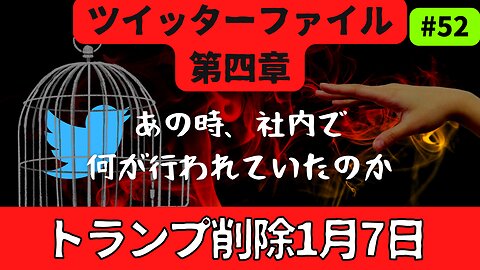 【つぶやきファイル第四章】DT前大統領削除 1月7日に何が行われていたのか #2023年上半期 #予言 #預言 #考察 #考えよう #universe