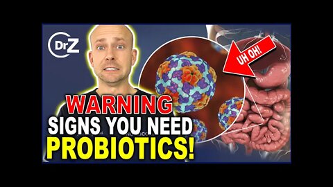 Probiotics For Gut Health Warning Signs That You Need Probiotics