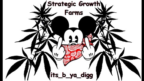 Moving from youtube!! its_b_ya_digg STRATEGIC GROWTH FARMS