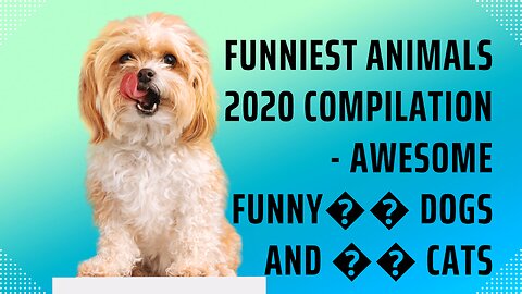 Funniest Animals 2020 Compilation - Awesome Funny�� Dogs and �� Cats