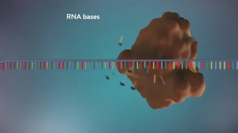 The Process Of DNA Replication - Animation