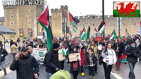 ☮️Pro-PS Protesters, March St Mary Street Cardiff South Wales☮️