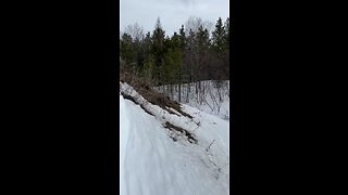 Northernboys sendits zr 600 mod sled hillclimb fail/success