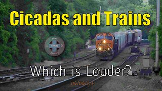 Cicadas and Trains on the Racetrack: The Works - BNSF, Metra, Amtrak