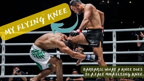 The Best Advice You Could Ever Get About This Is BARBARIC What A Knee Does To A Face MMA Flying Knee