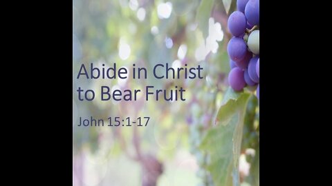 More Abundant Life - Part 2 John 15:1-11