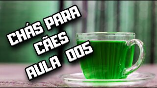 Chá de Camomila para Cães: aula 005 | Dr. Edgard Gomes | Alimentação natural para Cães