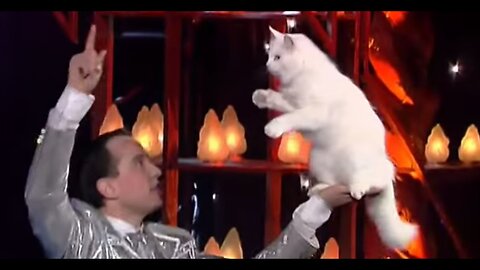 Amazing Cats Training ! Angorian Cats - The world greatest Cabaret
