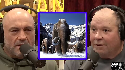 The Bold Plan to Clone Wooly Mammoths and Rewrite History Joe Rogan Experience