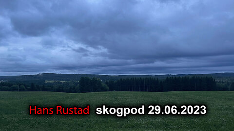 Skogpod 29. juni 2023