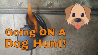 Going on a Dog Hunt | Small Family Adventures