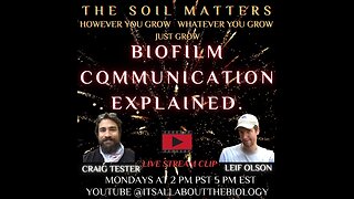 Biofilm Communication Explained