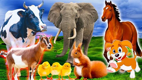Cute baby animals lion elephant bear and cute other words | cute animal sound