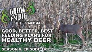 Good, Better, Best Feeding Plans for Healthy Deer