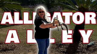 I HELD an ALLIGATOR in Alligator Alley | RV New Adventures