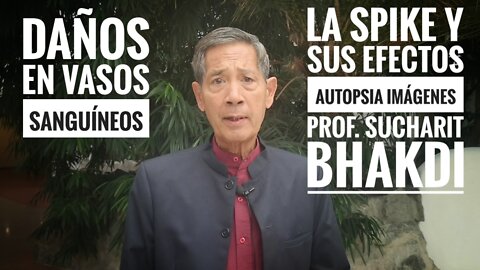 IMÁGENES DE PROTEÍNA SPIKE EN PEQUEÑOS VASOS SANGUÍNEOS DEL MIOCARDIO