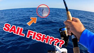 Key Largo Fishing - You Won't Believe What We Caught!