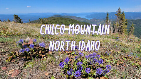 Hiking Chilco Peak, North Idaho