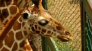 Zoo Welcomes New Arrivals