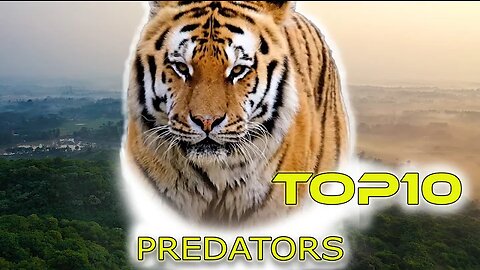 Top 10 predators in the world