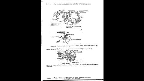 DECLASSIFIED CIA- THE MATRIX/HUMAN CONSCIOUSNESS ✨👀🤯