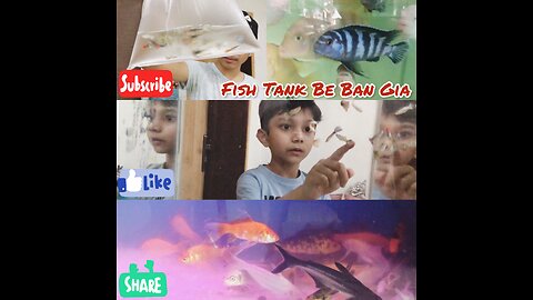 Fish Water Tank Be Ban Gia