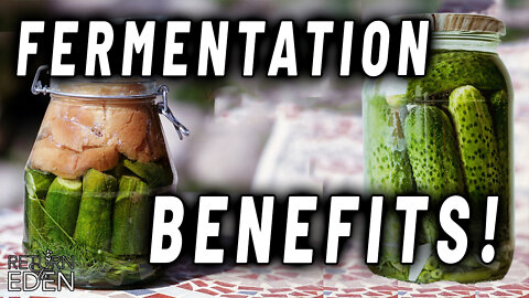 INCREDIBLE POWER OF FERMENTATION TO REVOLUTIONIZE YOUR HEALTH!
