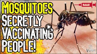 GMO MOSQUITOES SECRETLY VACCINATING PEOPLE? Shocking Report Exposes Possible BIOWEAPON!
