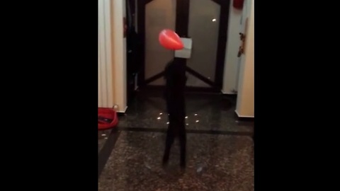 Poodle displays impressive balloon juggling skills