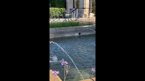 Lion fountain. #asmr #asmrsounds #waterfountain #beautiful