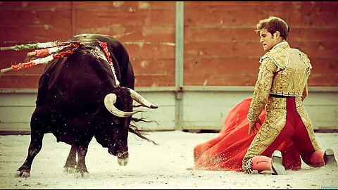 Bullfighting Spanish Culture #24