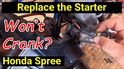 Honda Spree ● Remove and Replace the Starter ● The Easy Way ✅