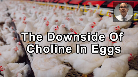 The Potential Downside Of Choline In Eggs - Joel Kahn, MD - Interview