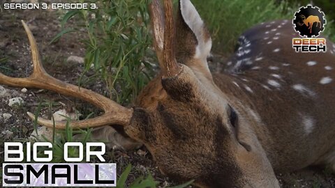 Axis Buck Hunt After a Historic Winter Freeze and Broken Antlers | DeerTech TV