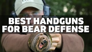 Top 10 Best Handguns for Bear Defense (2022)