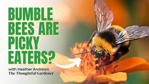 Exploring Bumble Bees' Picky Eating Habits: What We Can Learn from Pollinators
