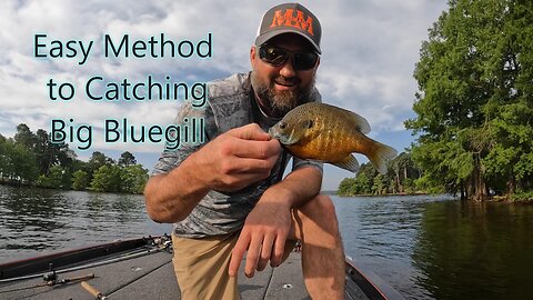 Easy Method to Catch Big Bluegill