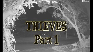 THIEVES PART 1