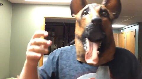 I Am A Dog Funny Freestyle! By Adam Stark 7/11/2016