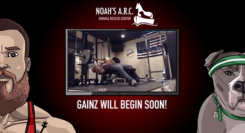 Gym Session w/Hank-a-Tank [Week 28] - Squats & Deadlifts // Animal Rescue Stream :)