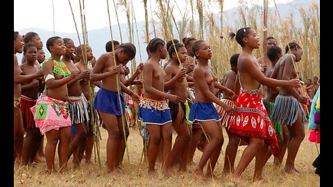 South Africa : Joy as Zulu reed dance festival returns | AROUNDTHEWORLDWITHUS